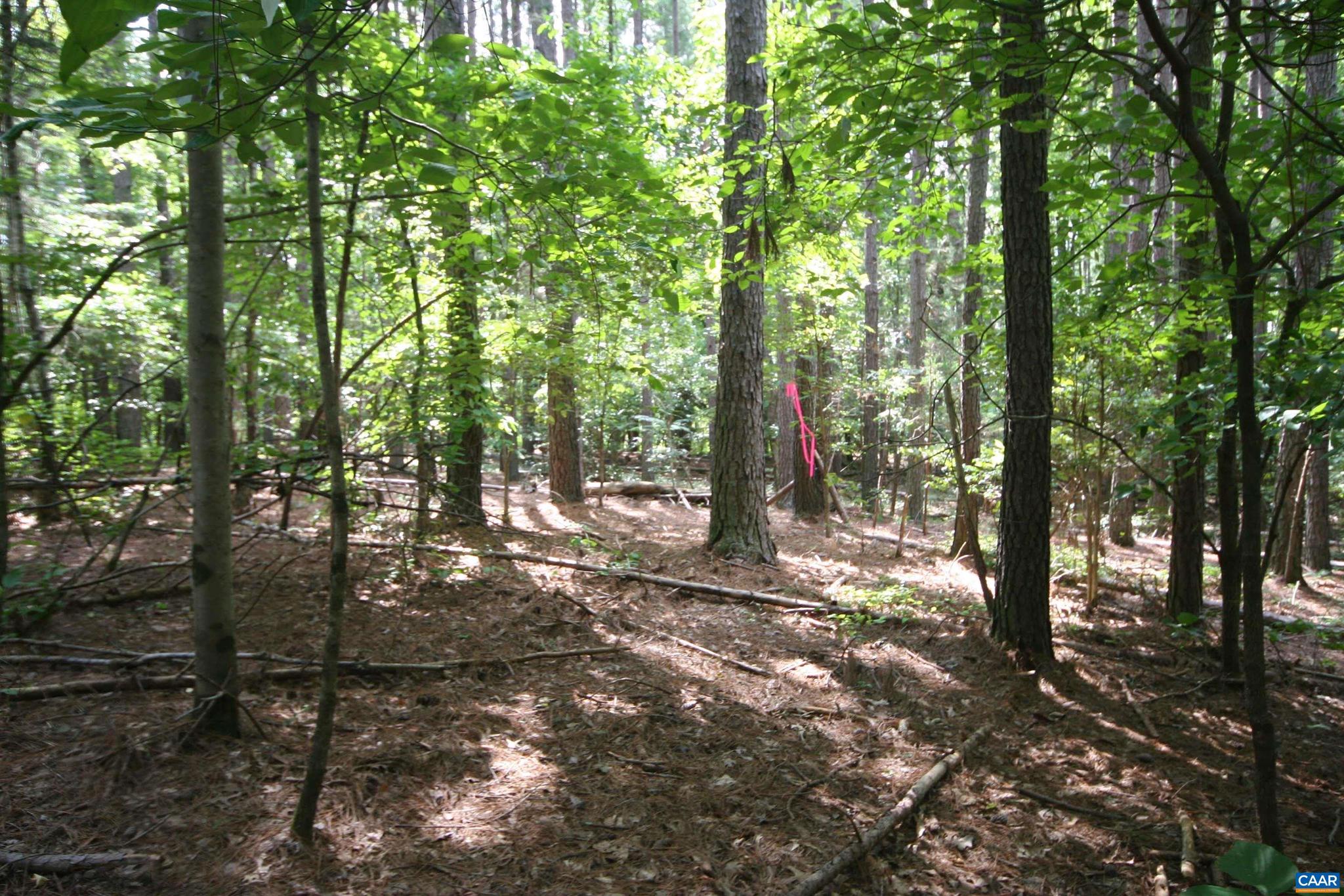 NONE AVAILABLE - Land