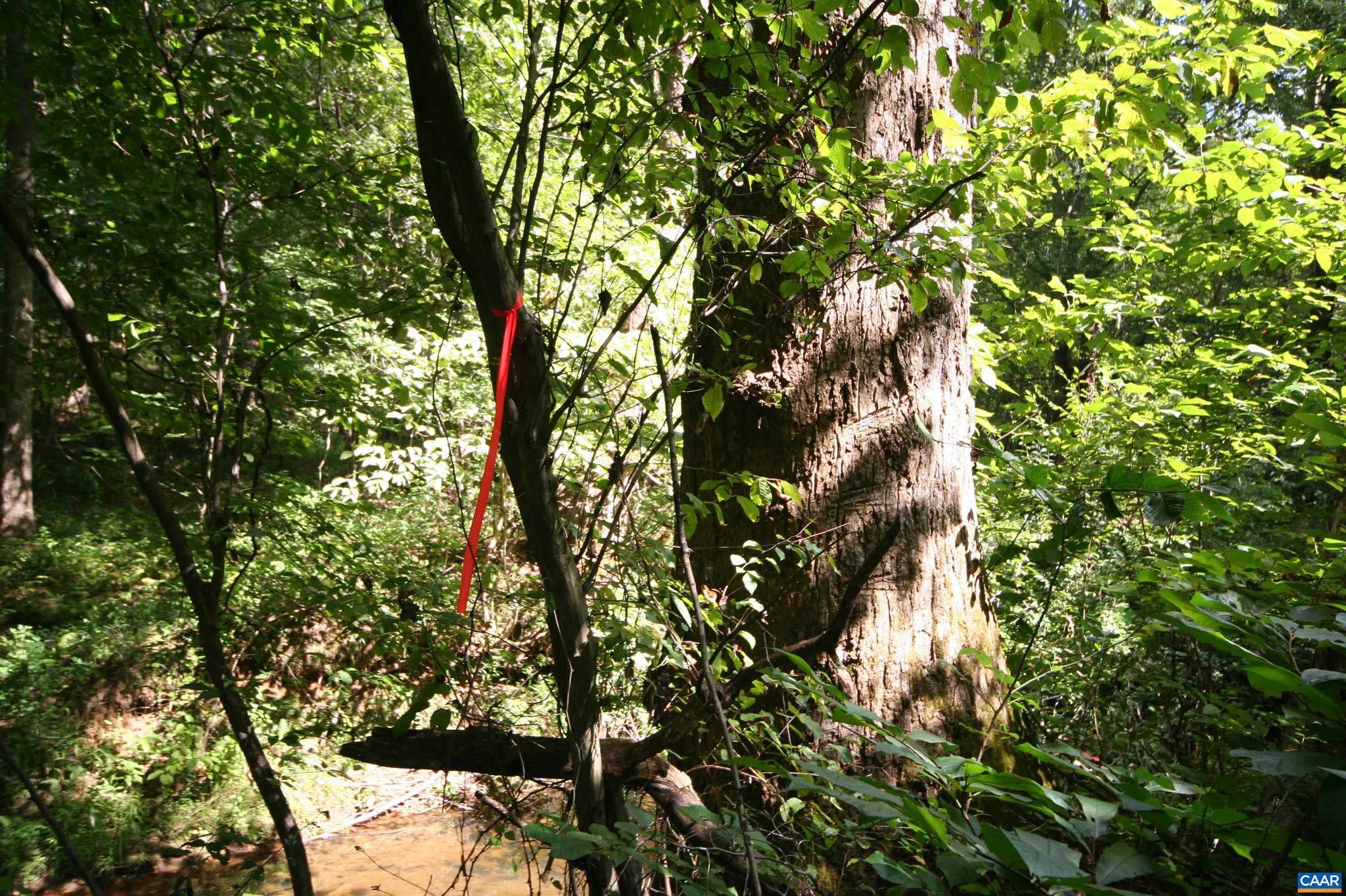 NONE AVAILABLE - Land