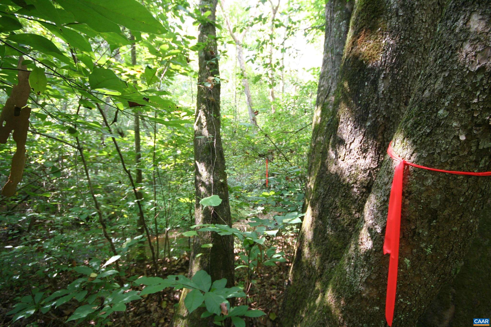 NONE AVAILABLE - Land