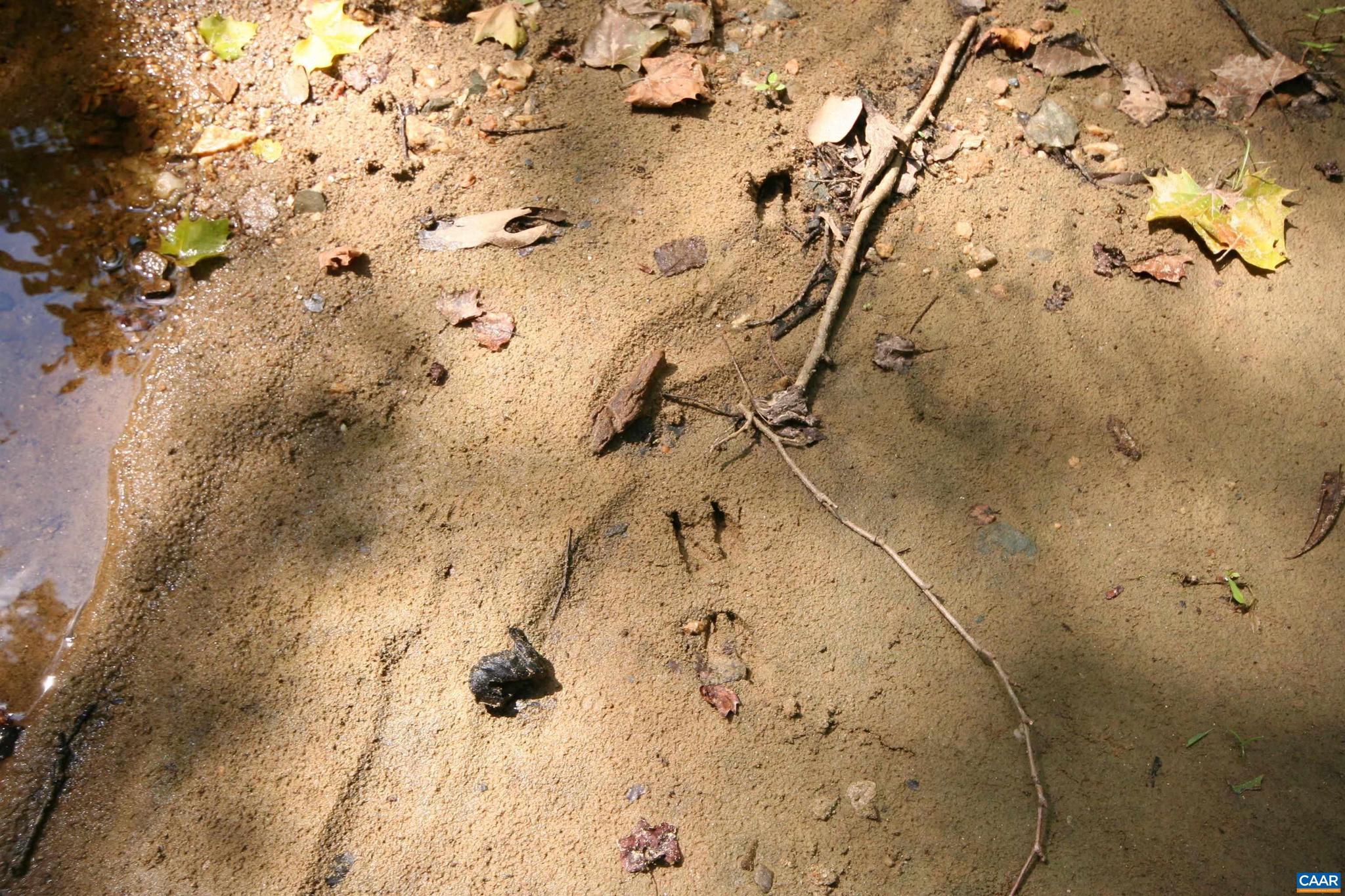 NONE AVAILABLE - Land