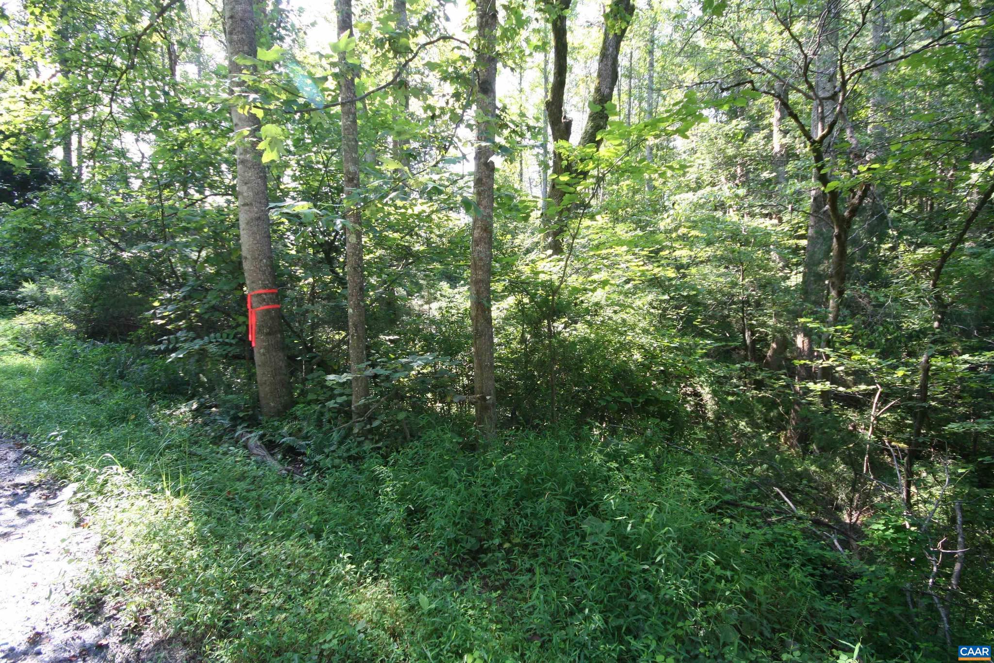 NONE AVAILABLE - Land