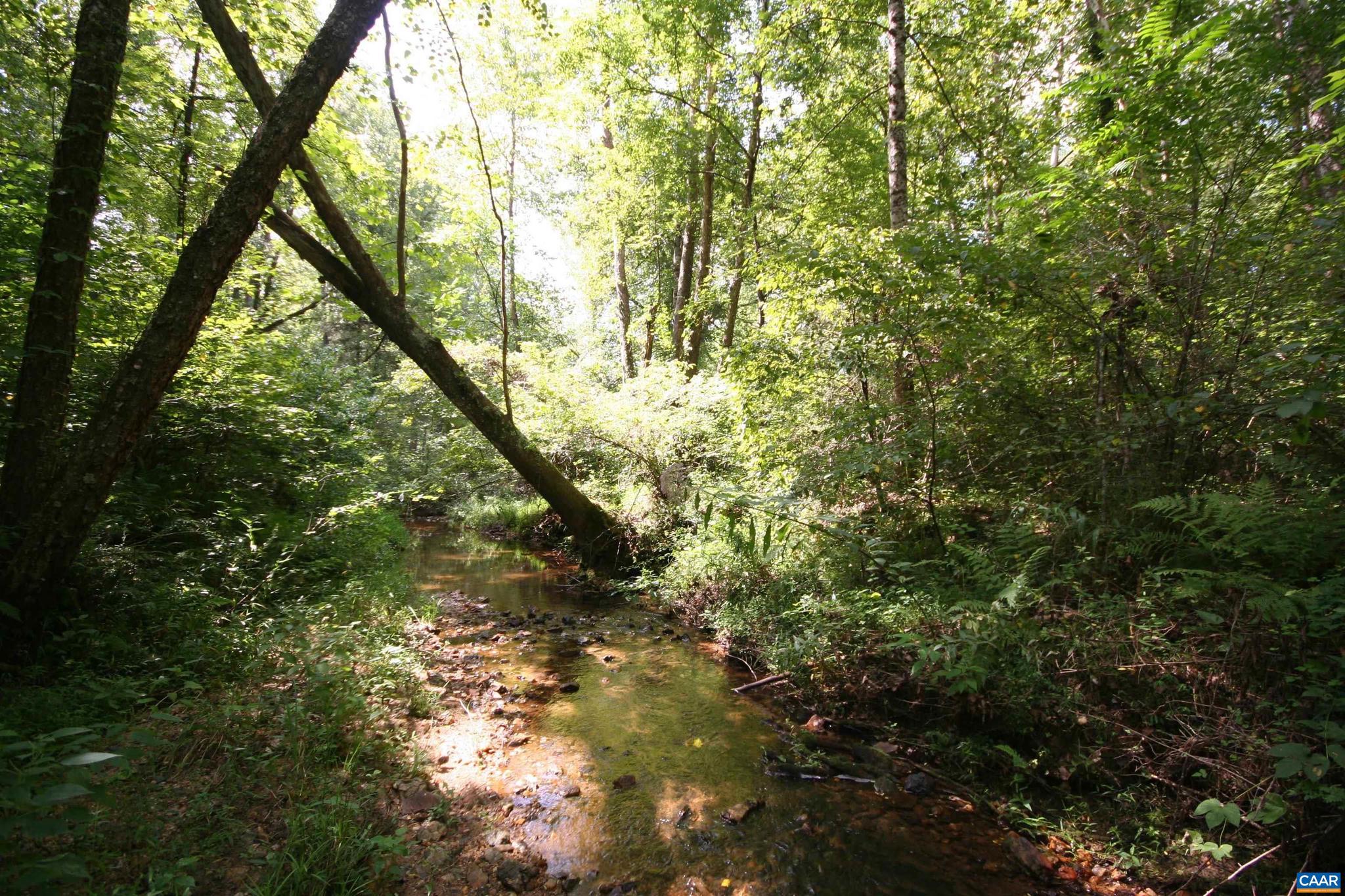 NONE AVAILABLE - Land