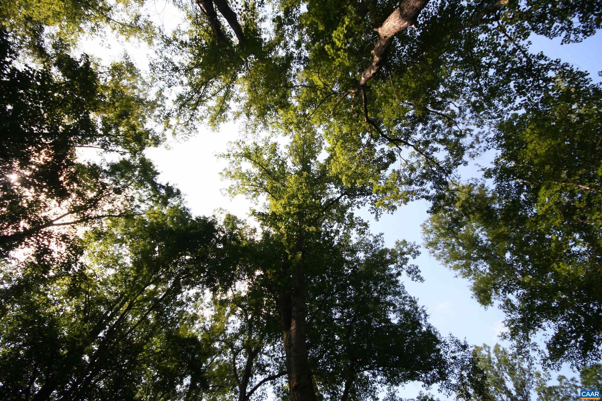 NONE AVAILABLE - Land