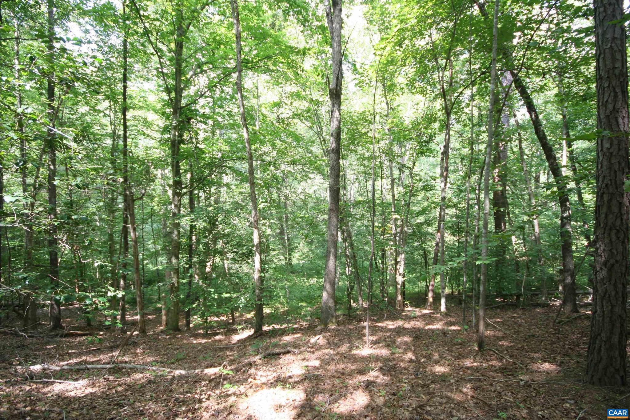 NONE AVAILABLE - Land