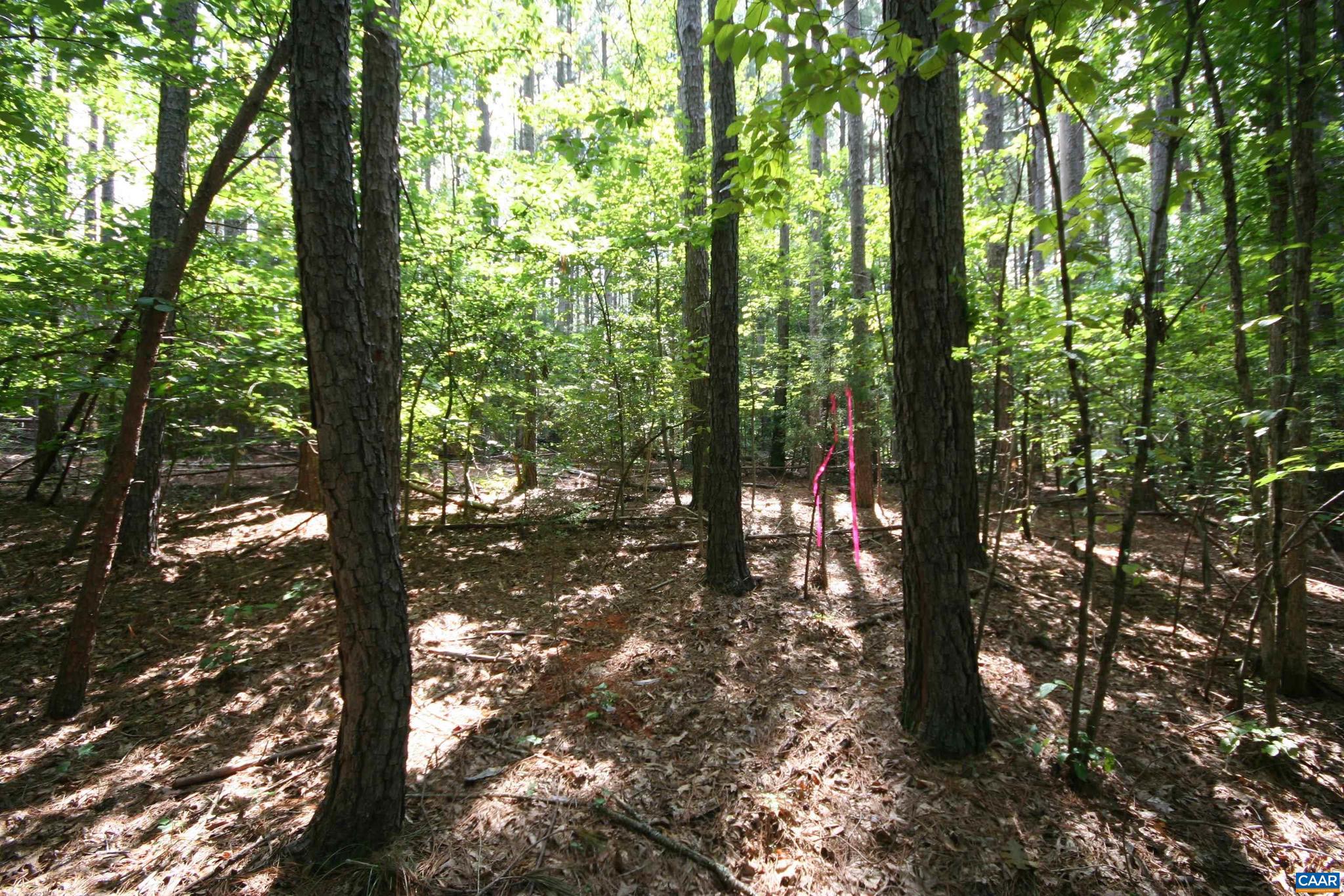 NONE AVAILABLE - Land