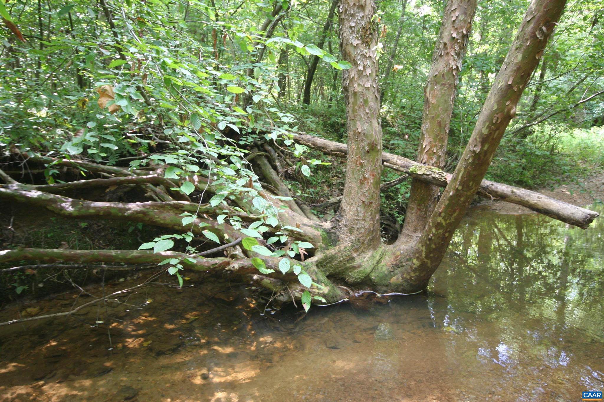 NONE AVAILABLE - Land