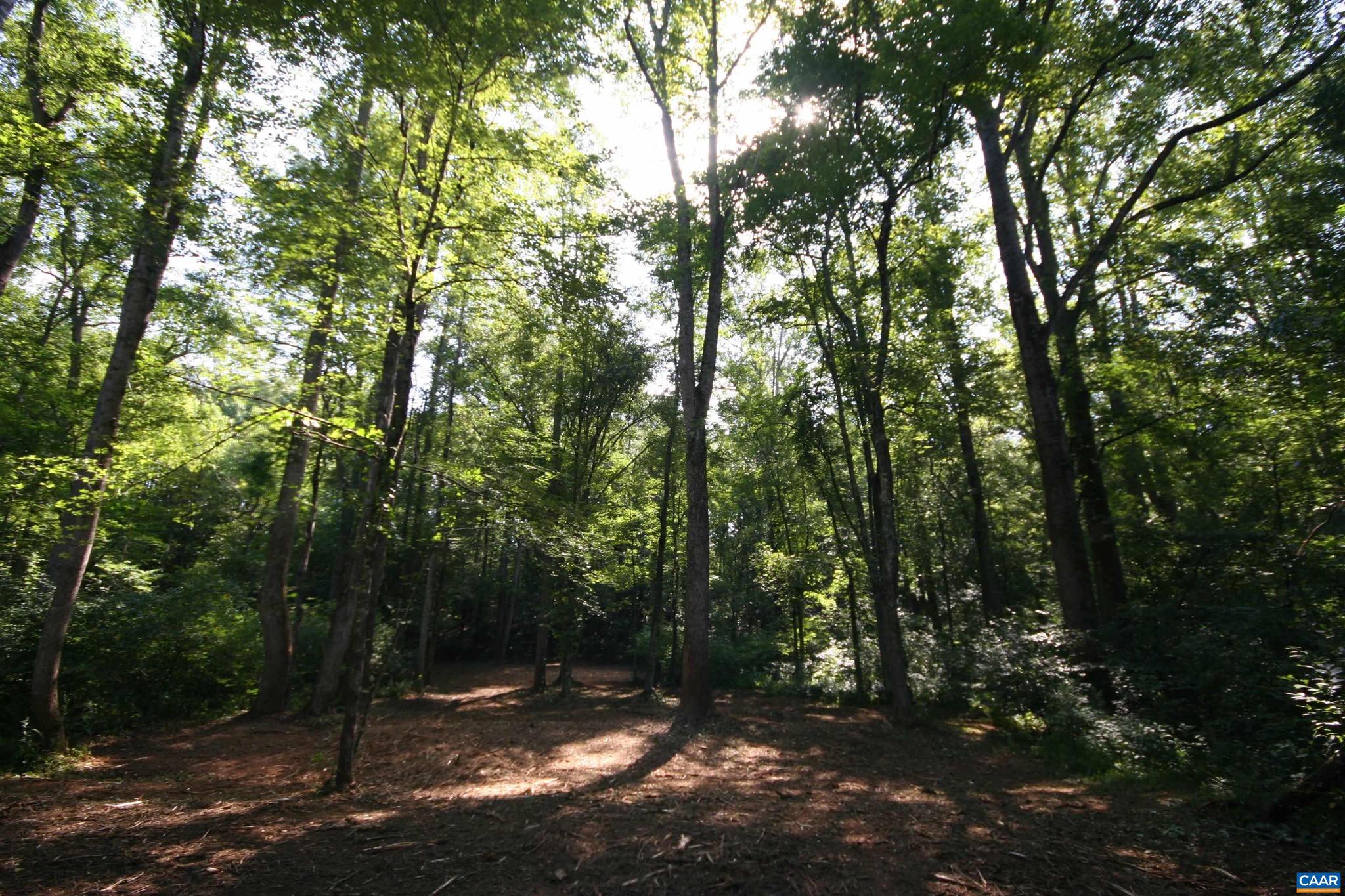 NONE AVAILABLE - Land