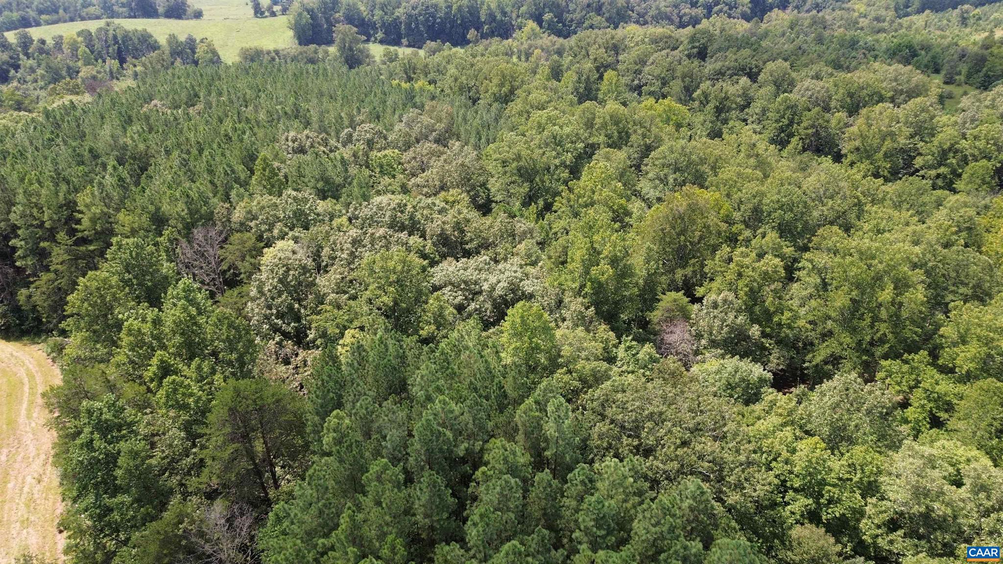 NONE AVAILABLE - Land