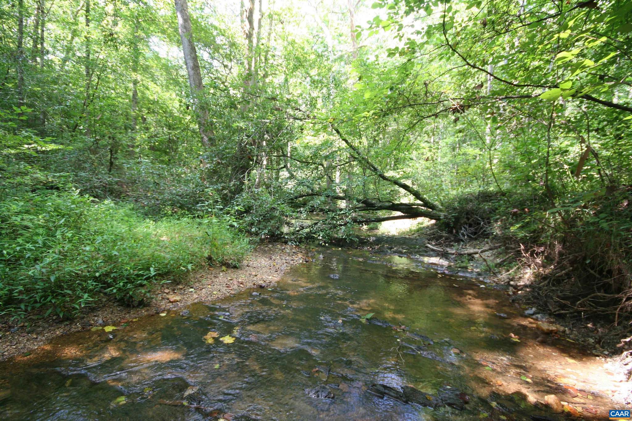 NONE AVAILABLE - Land