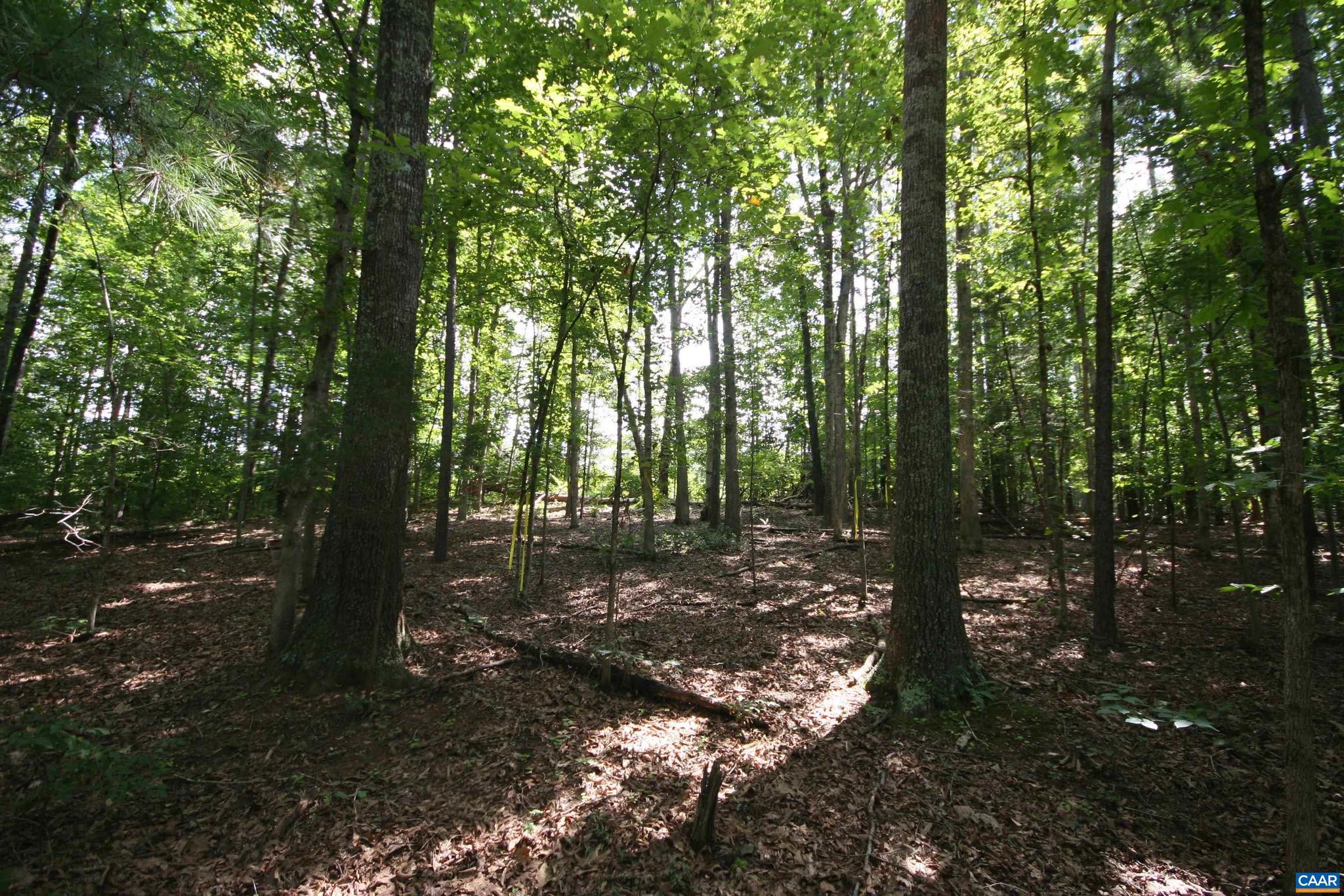 NONE AVAILABLE - Land