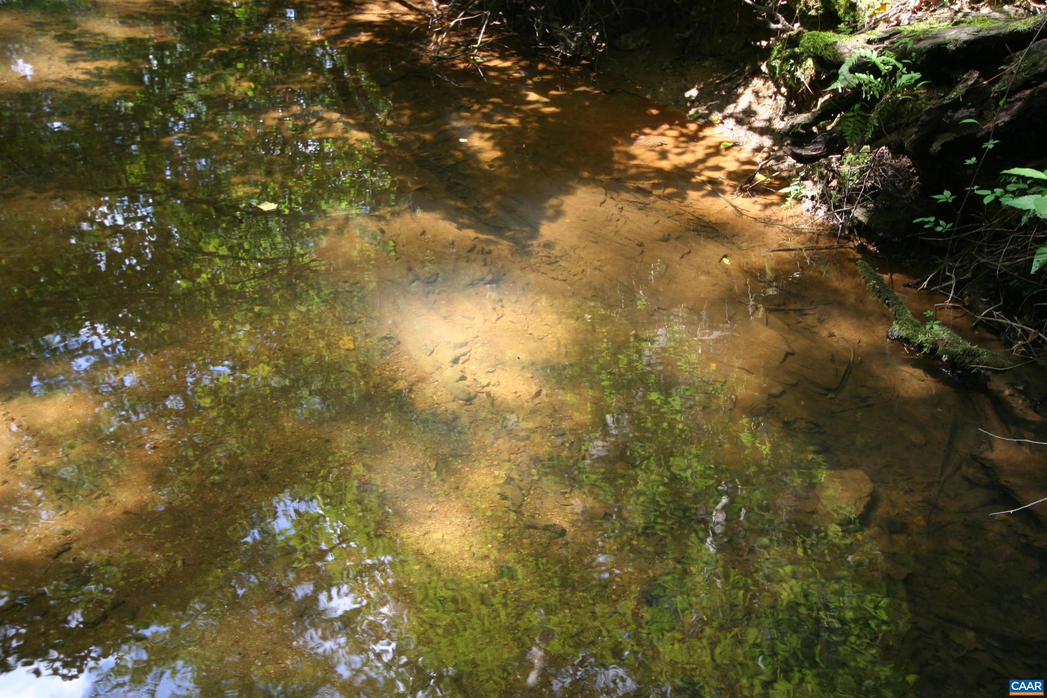 NONE AVAILABLE - Land