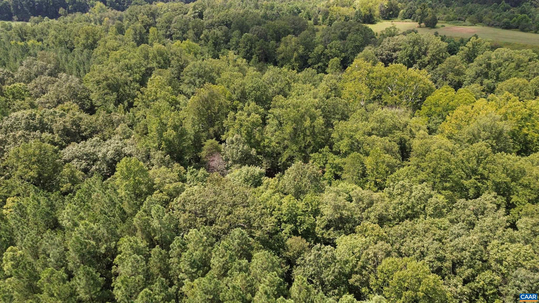 NONE AVAILABLE - Land