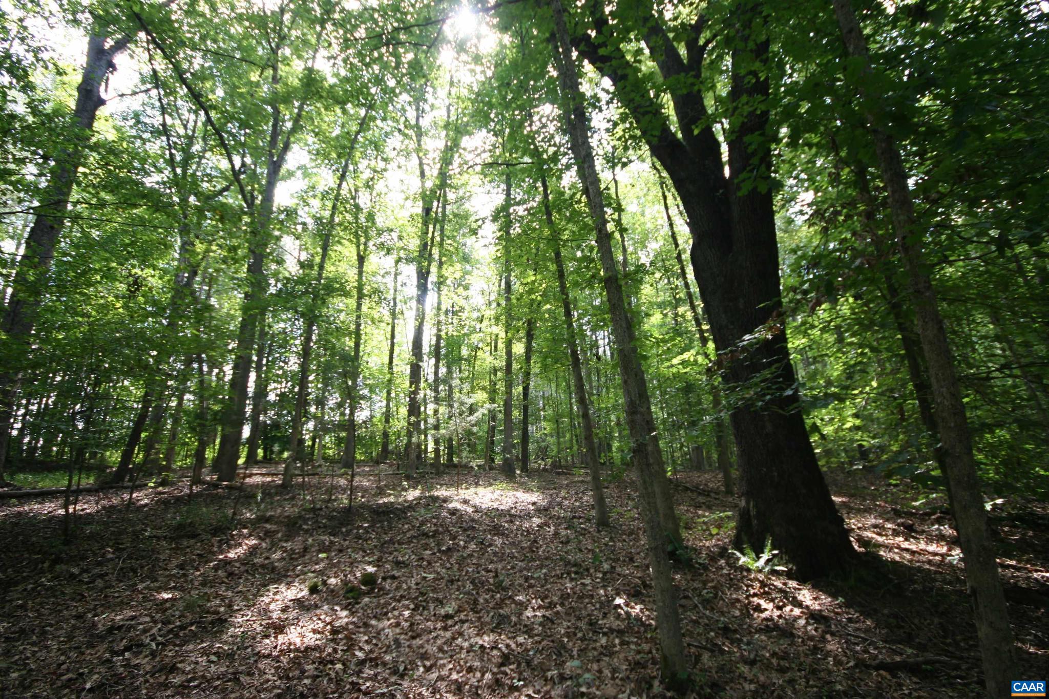 NONE AVAILABLE - Land