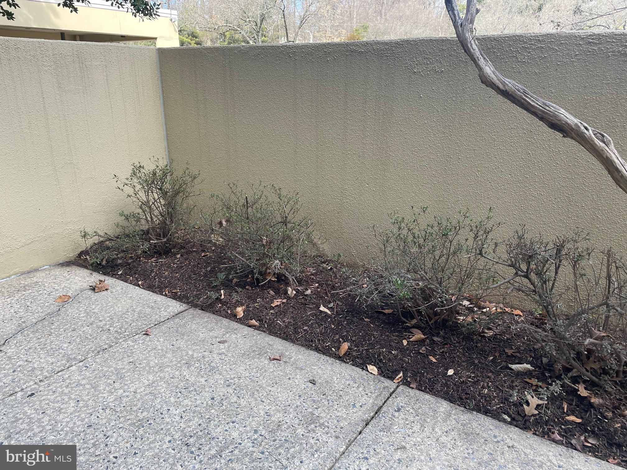 ROSSMOOR MUTUAL 22 CODM - Residential Lease