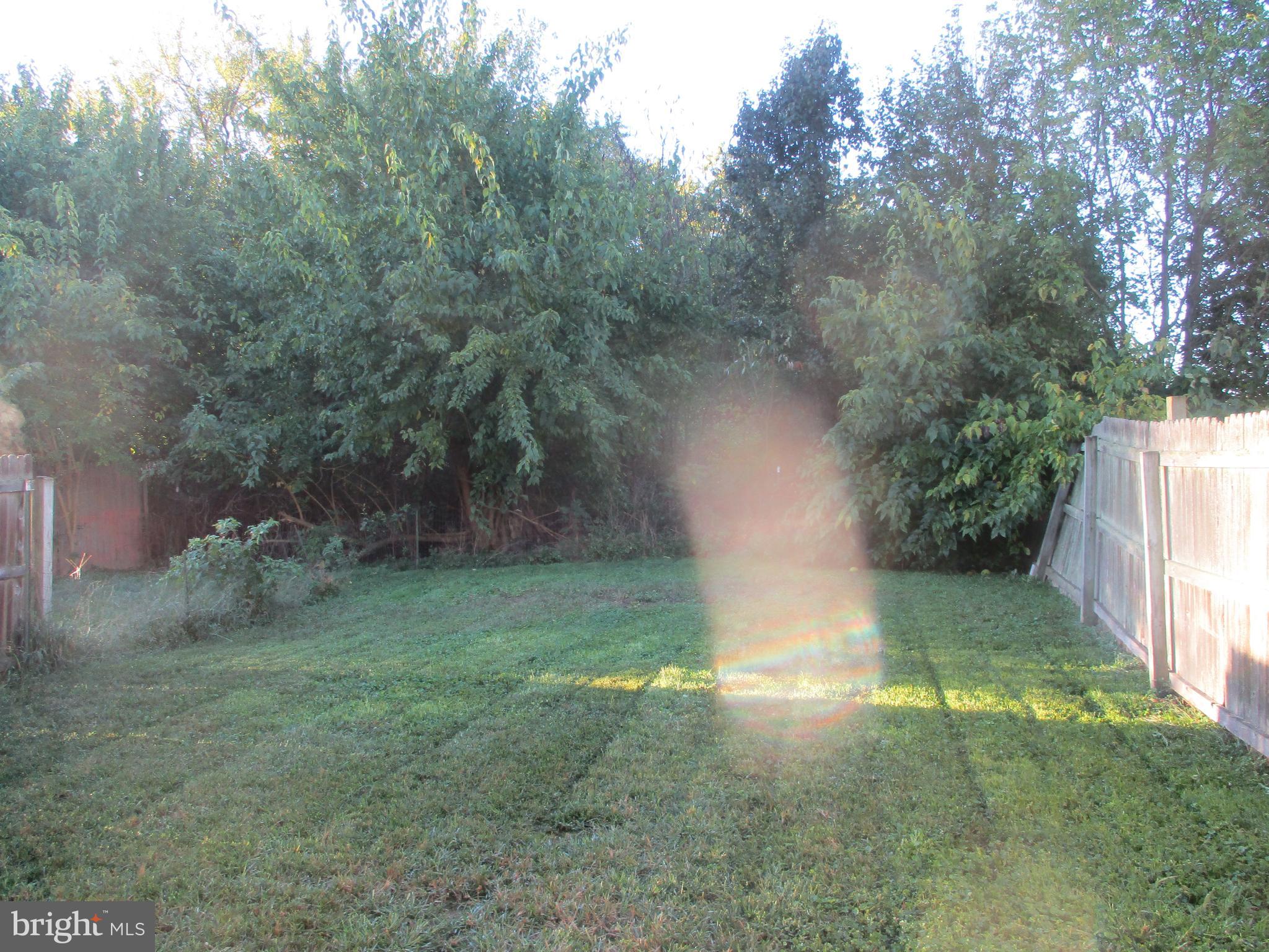 DOUGLAS VILLAGE - Residential