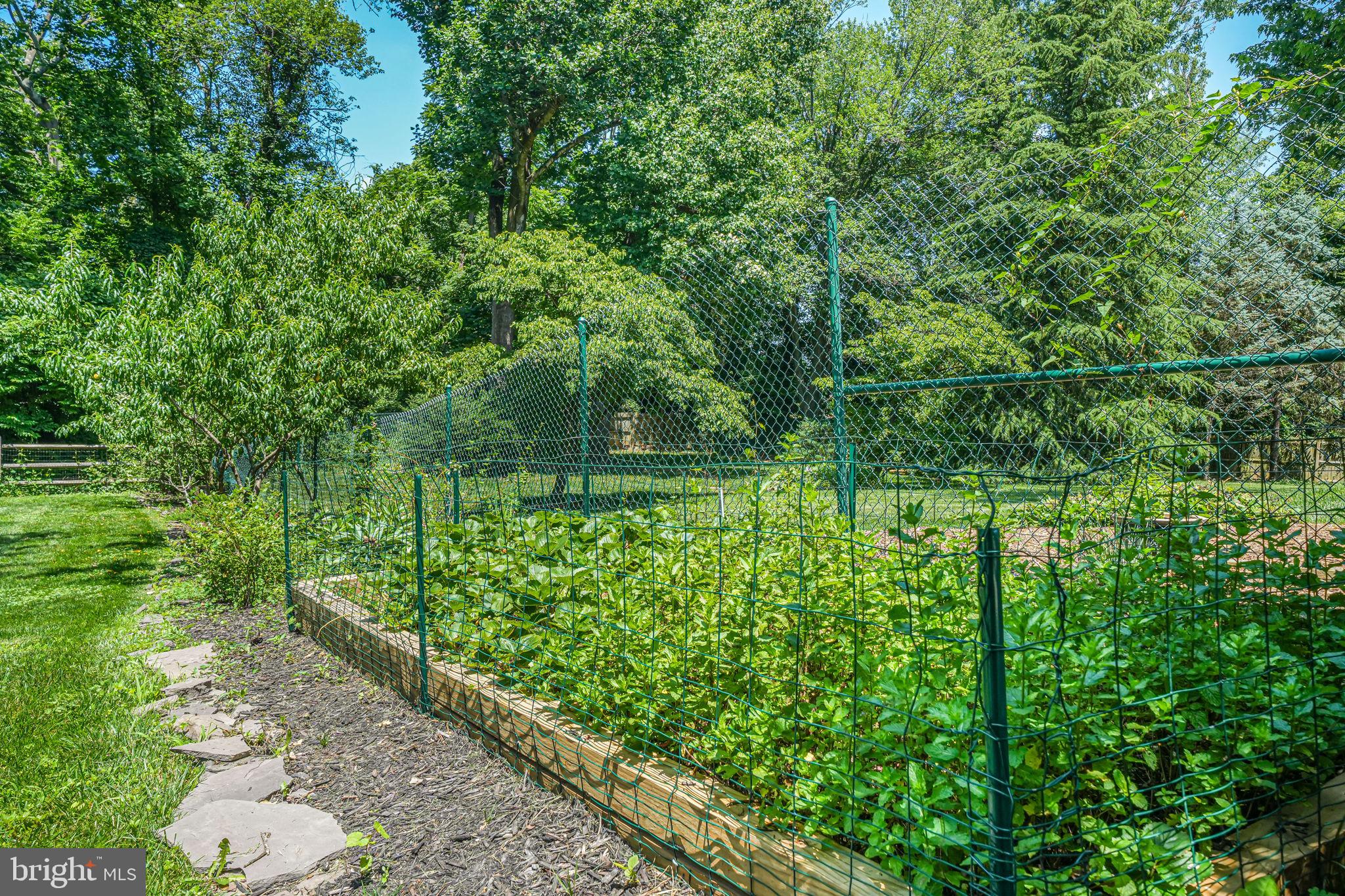 FOXHALL - Residential