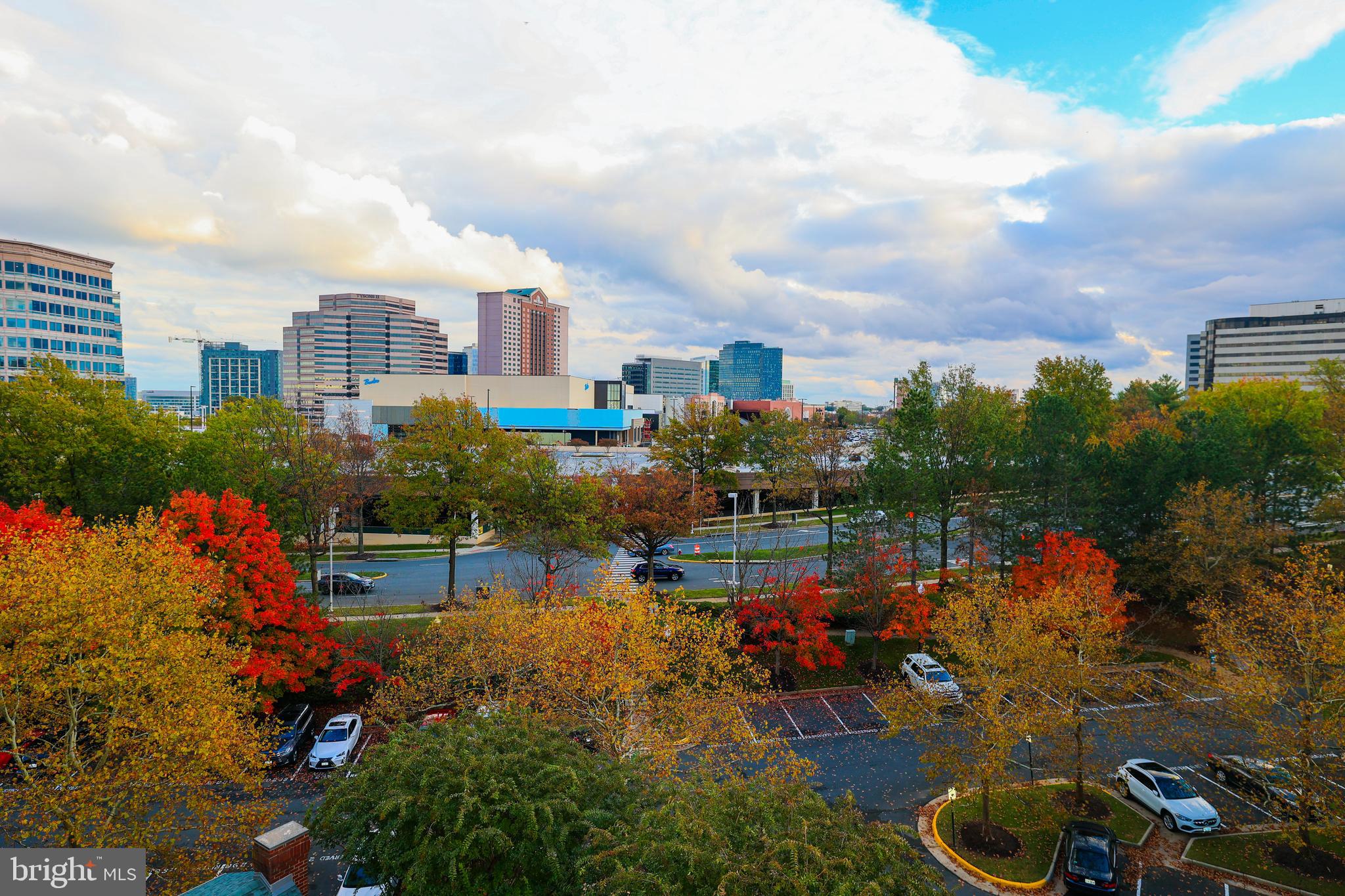 LILLIAN COURT AT TYSONS - Residential Lease