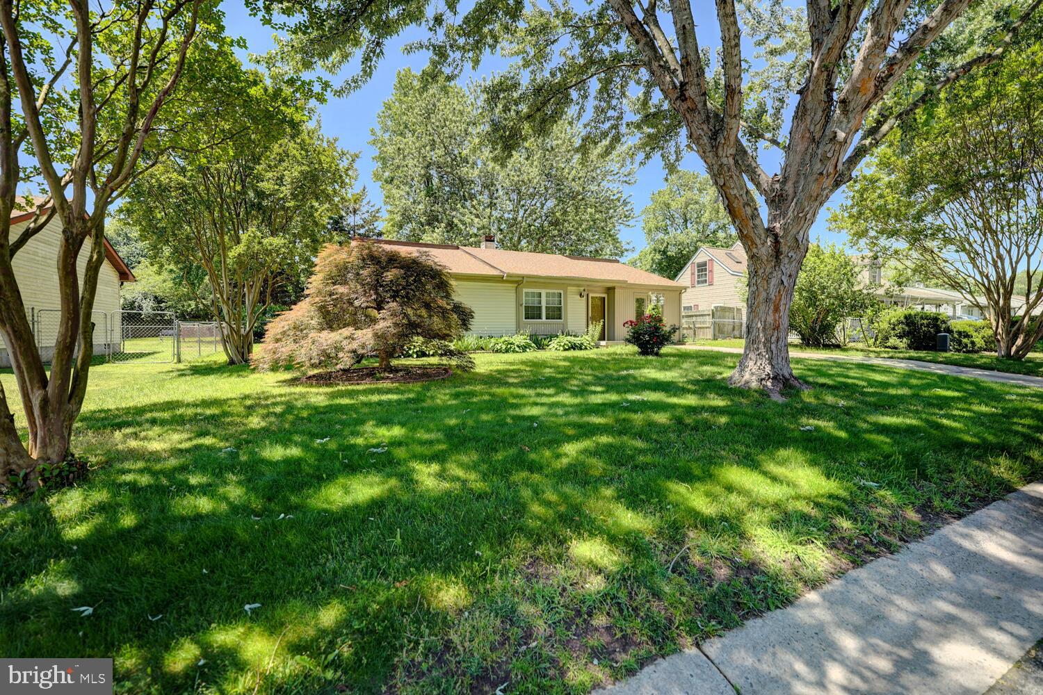 101 TAMMIE DRIVE