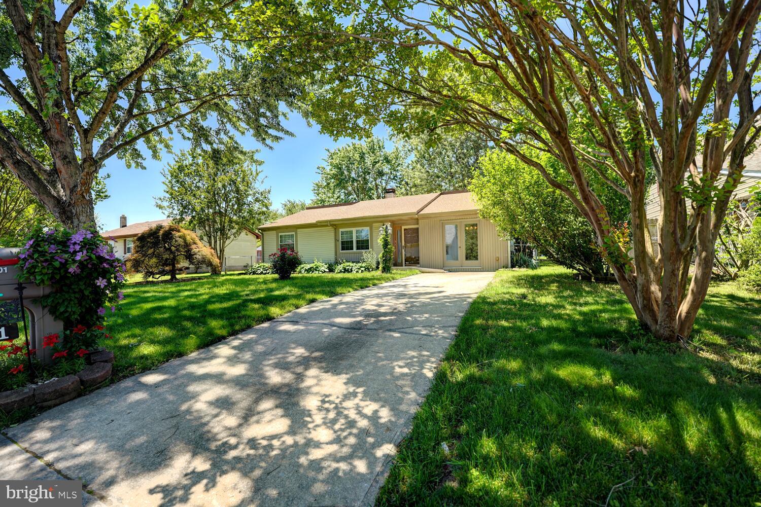 101 TAMMIE DRIVE