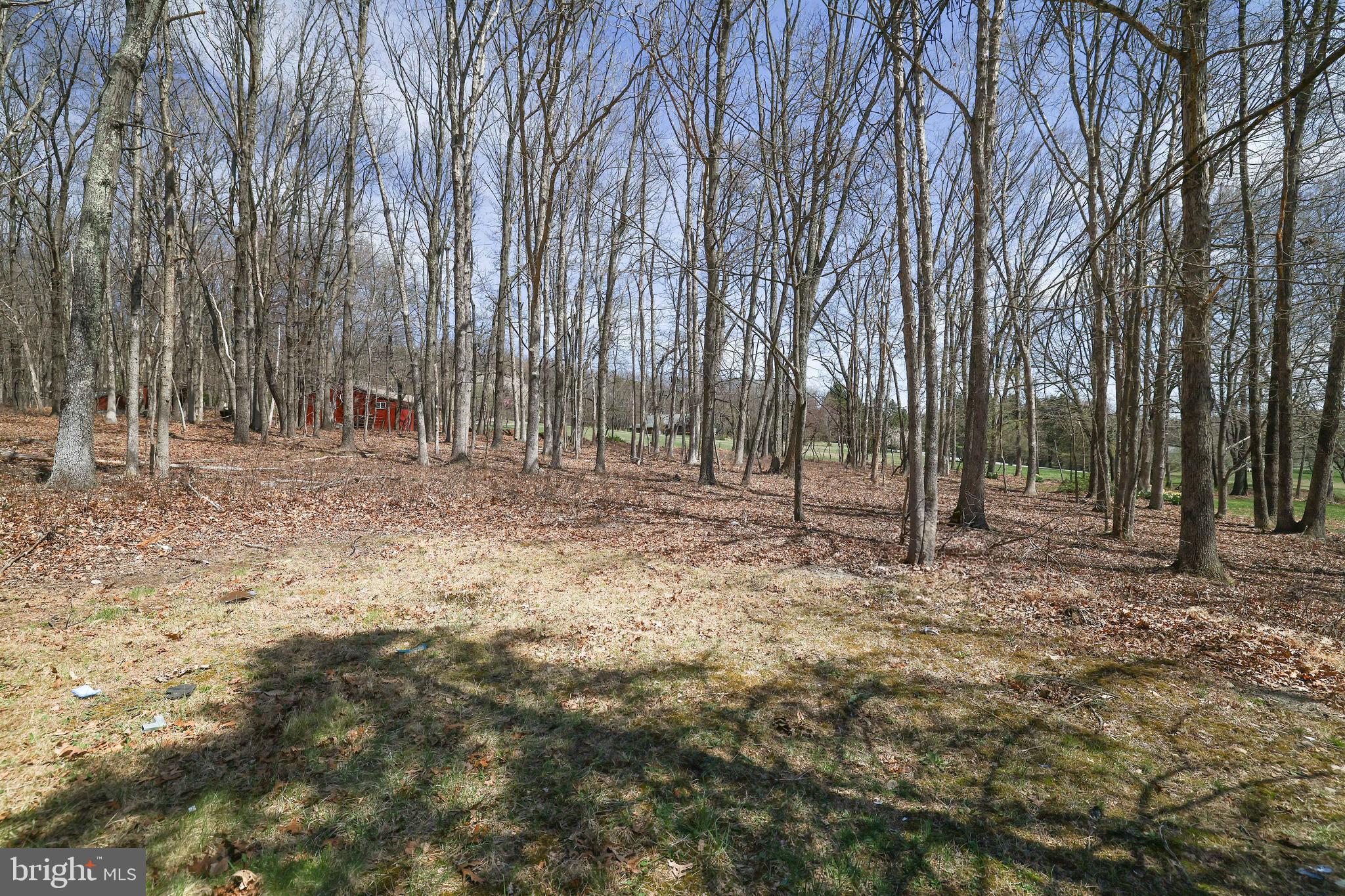 BIRCHES WEST - Residential