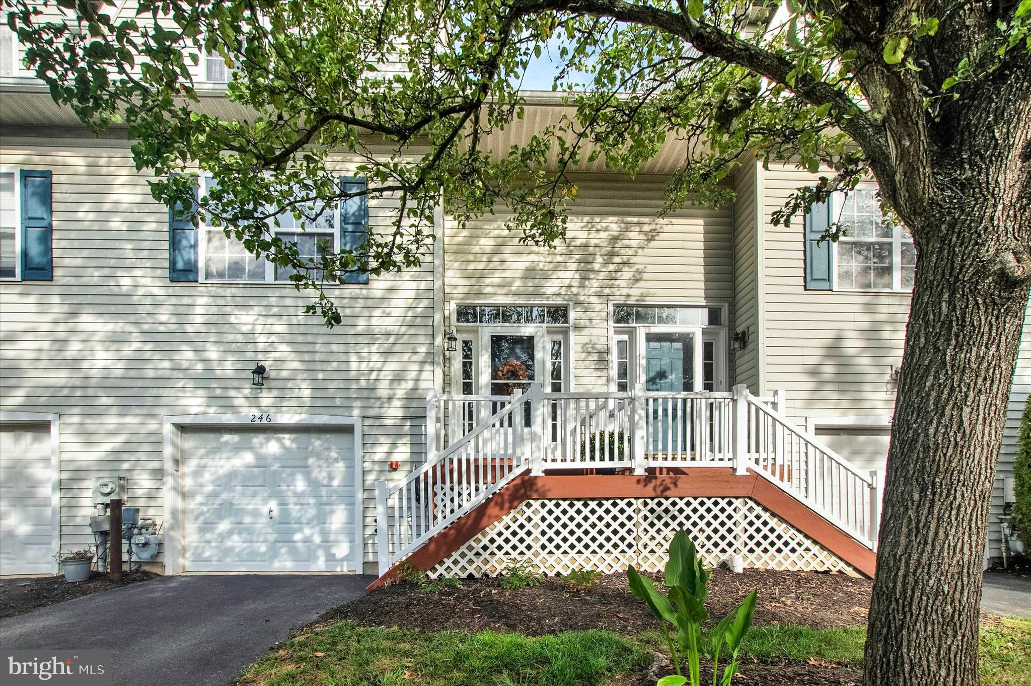 246 ROOSEVELT AVENUE