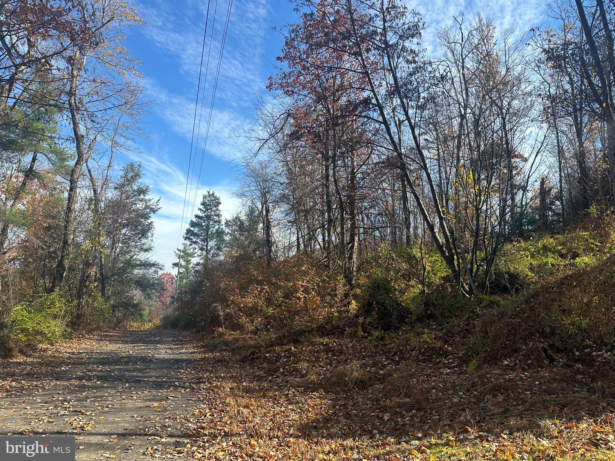 WILD TURKEY DRIVE
