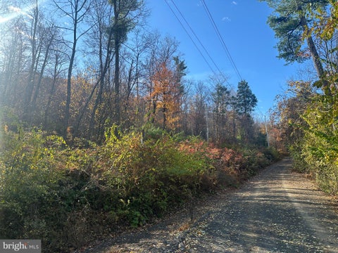 Vacant Land For Sale - Wild Turkey Drive<br/> SPRING MILLS, PA 16875