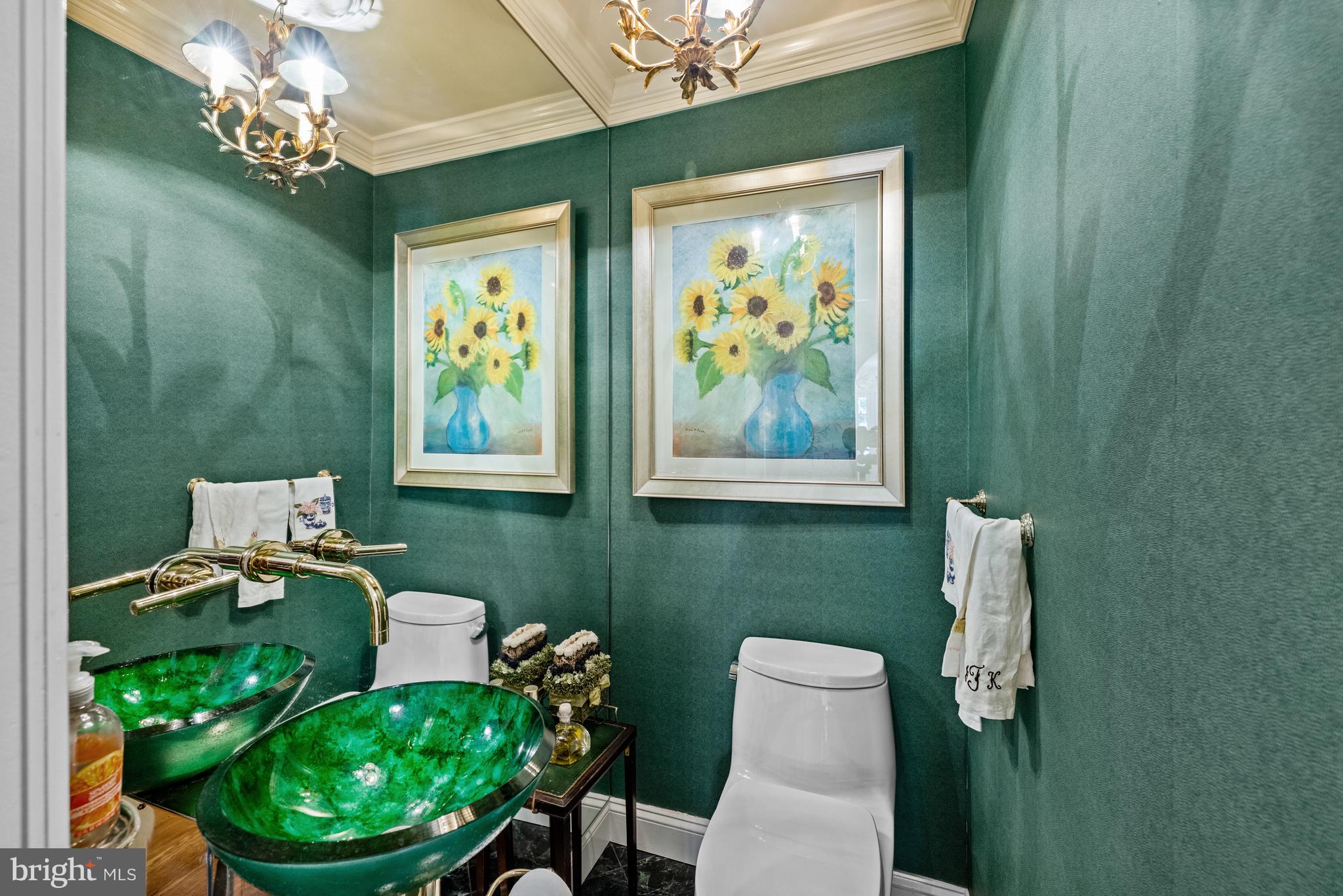 CHEVY CHASE VILLAGE - Residential