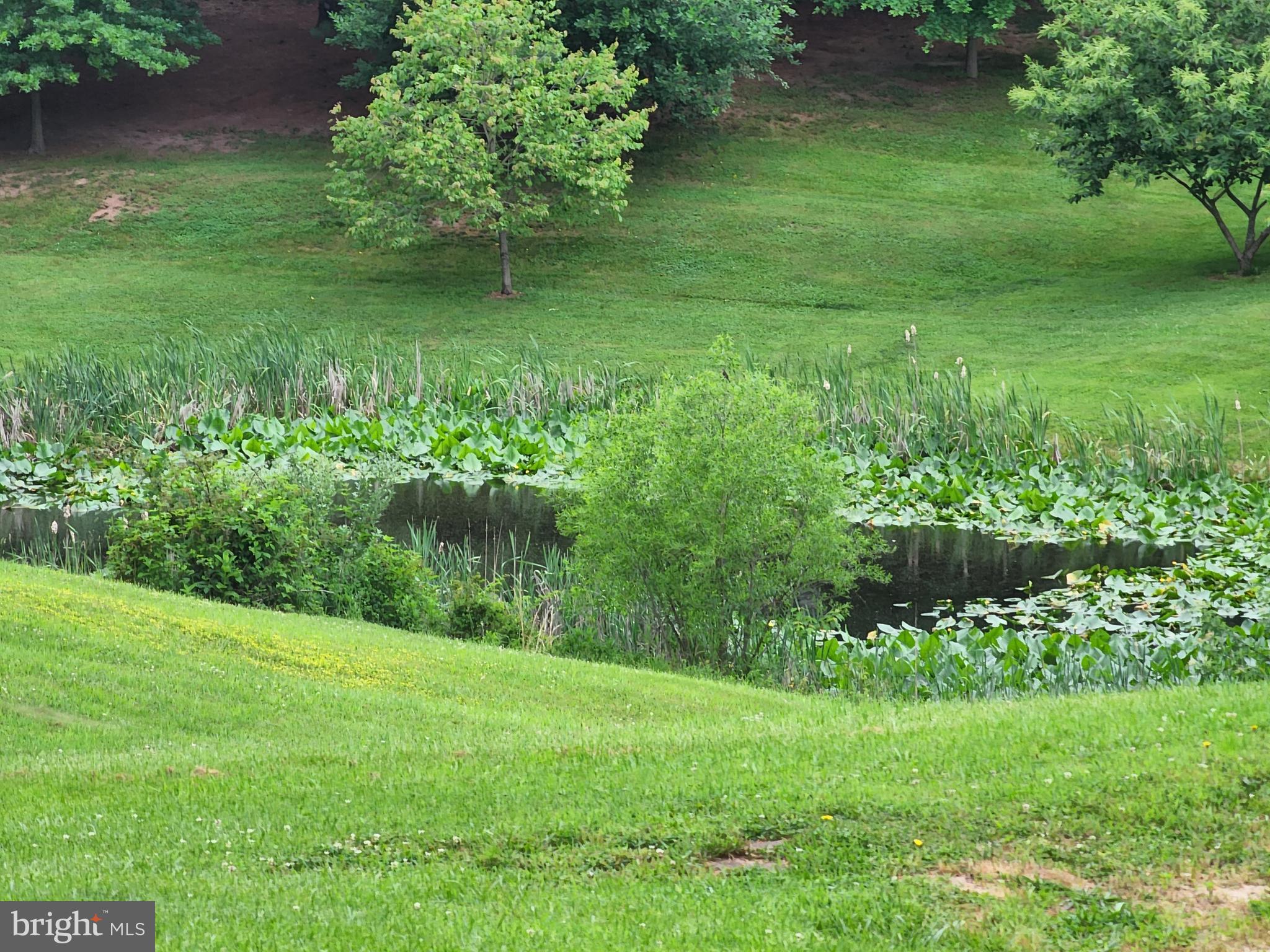 SLEEPY CREEK ORCHARD - Residential