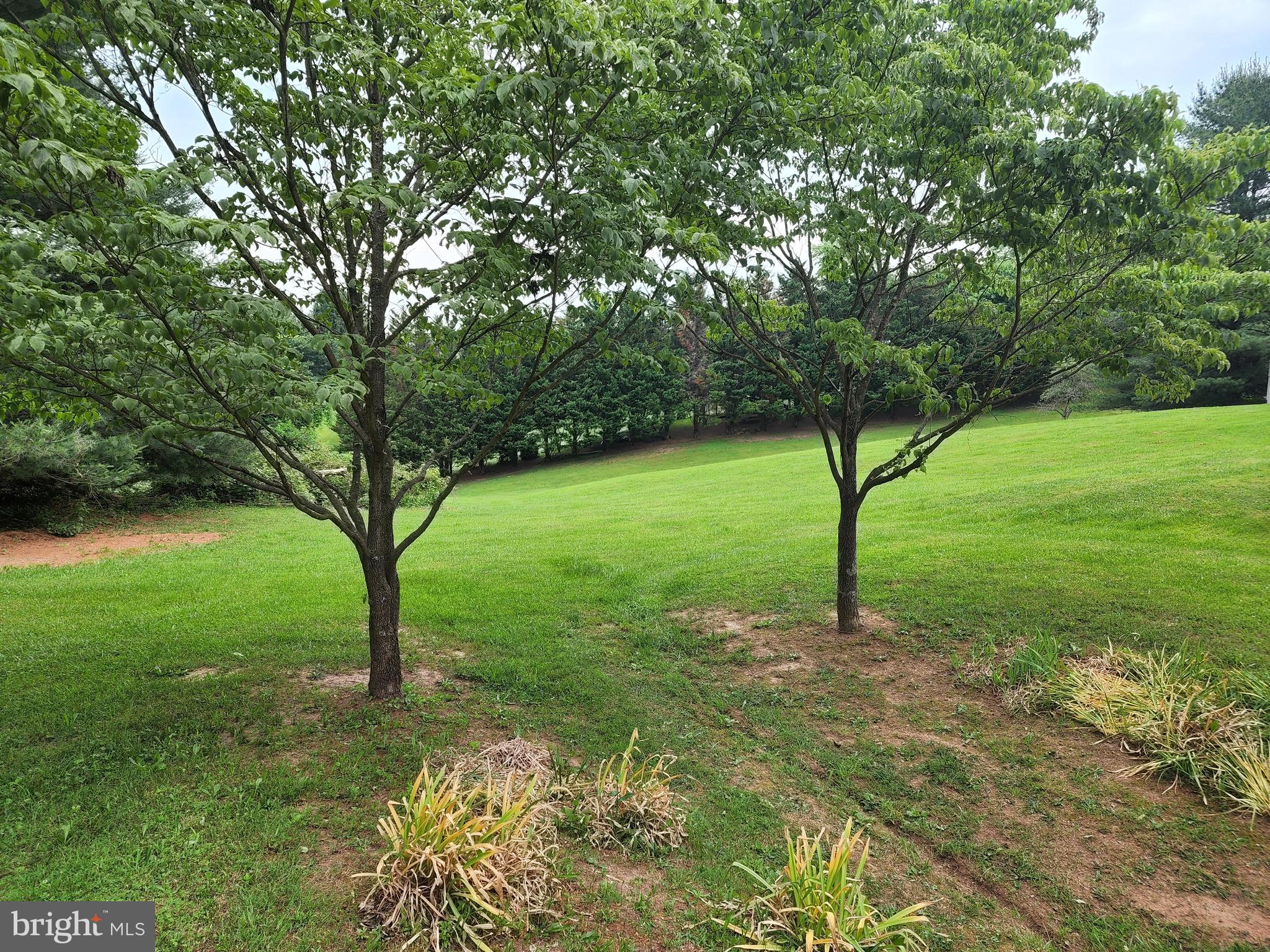 SLEEPY CREEK ORCHARD - Residential