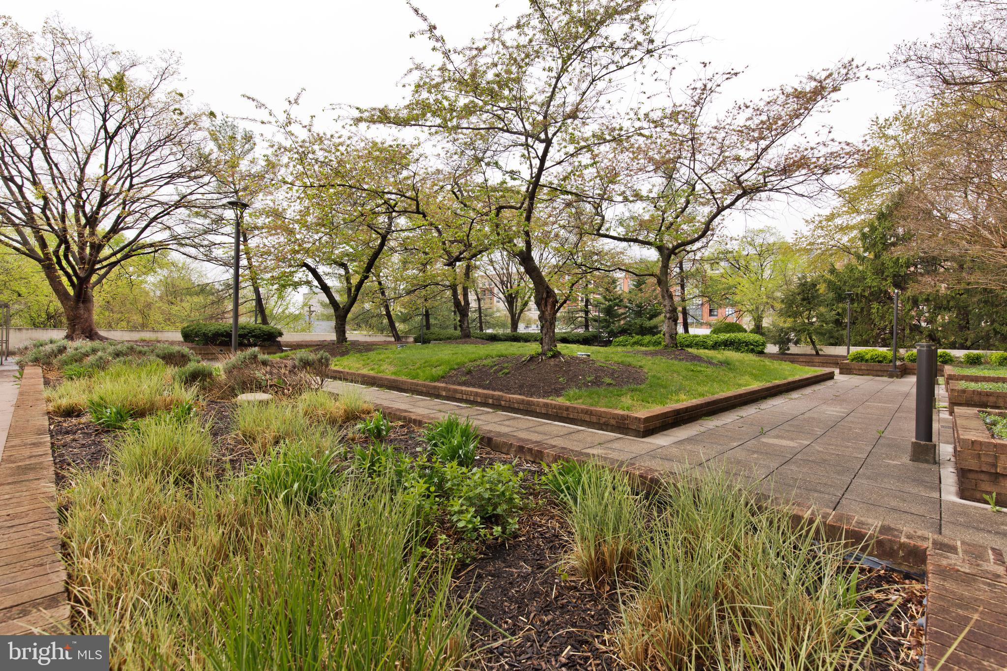 BARKLEY CONDO - Residential