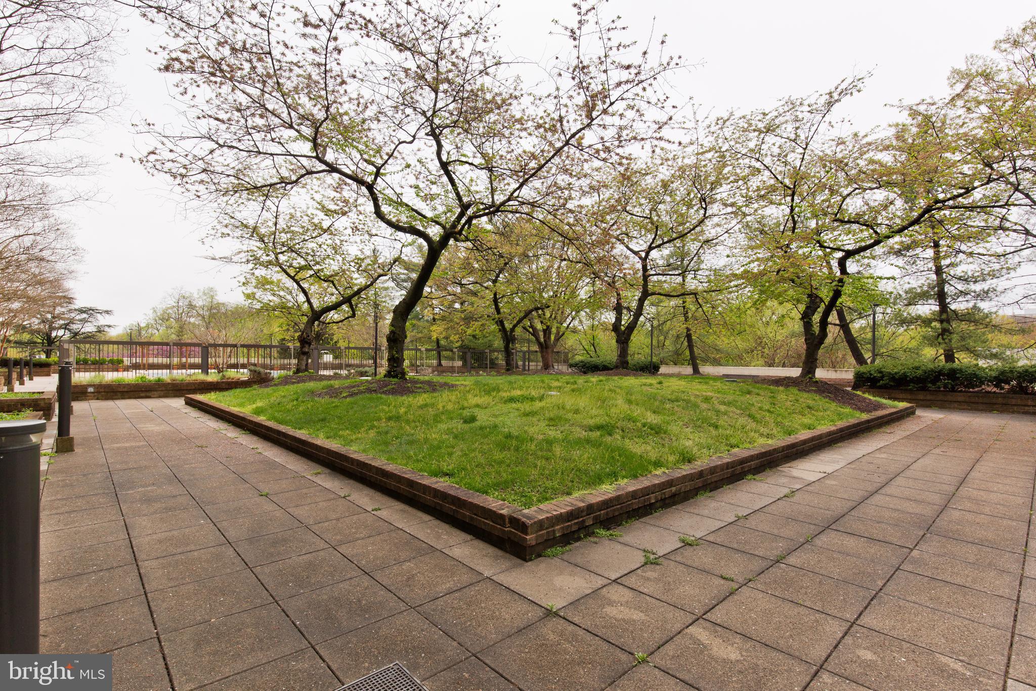 BARKLEY CONDO - Residential