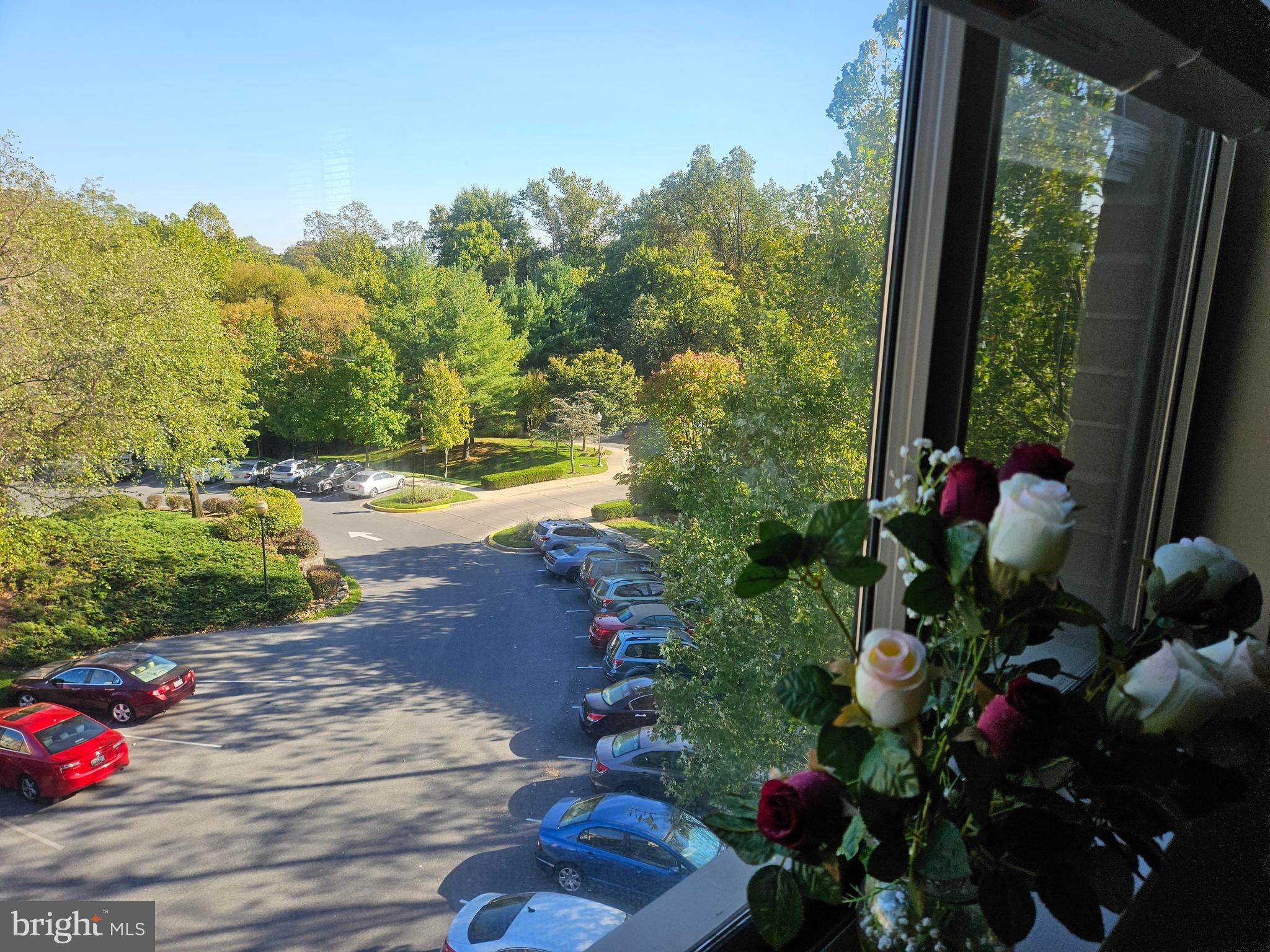 TURNBERRY COURTS AT LEIS - Residential