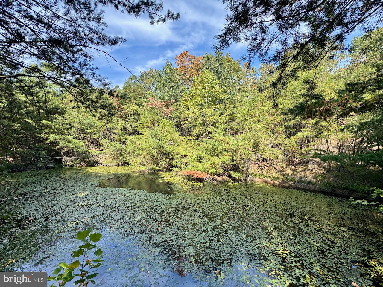 SILER HEIGHTS - Land