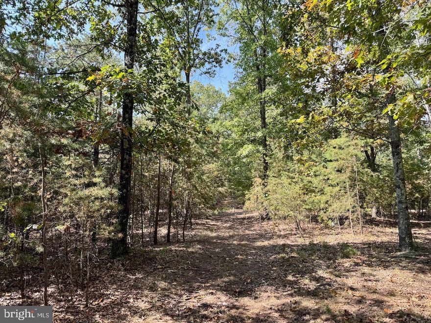 11+ acres in quiet, private setting. Mostly wooded with small pond. Abundant wildlife. Unrestricted. Hunting allowed. Property has an approved drain field area for septic  (see plat).  **AWD or 4WD vehicle required.**
Property appraised for list price in April 2025.