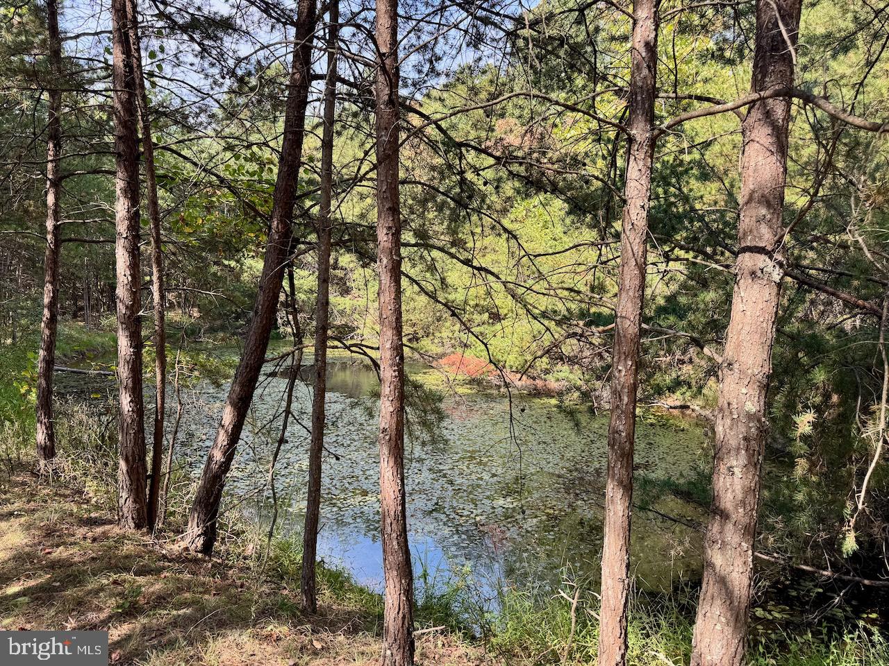 SILER HEIGHTS - Land