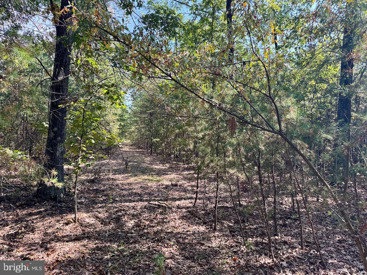 SILER HEIGHTS - Land