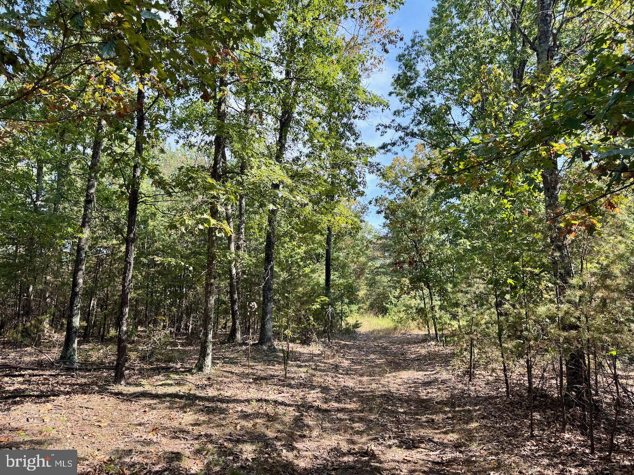 SILER HEIGHTS - Land