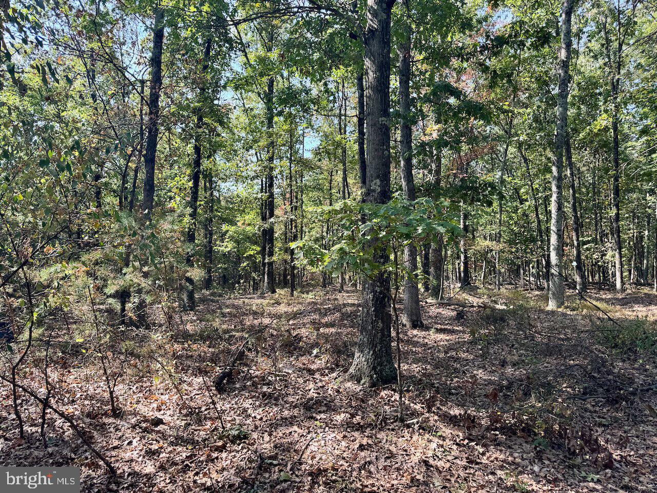 SILER HEIGHTS - Land