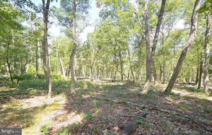 STAGECOACH STOP @ CAPON BRIDGE - Land