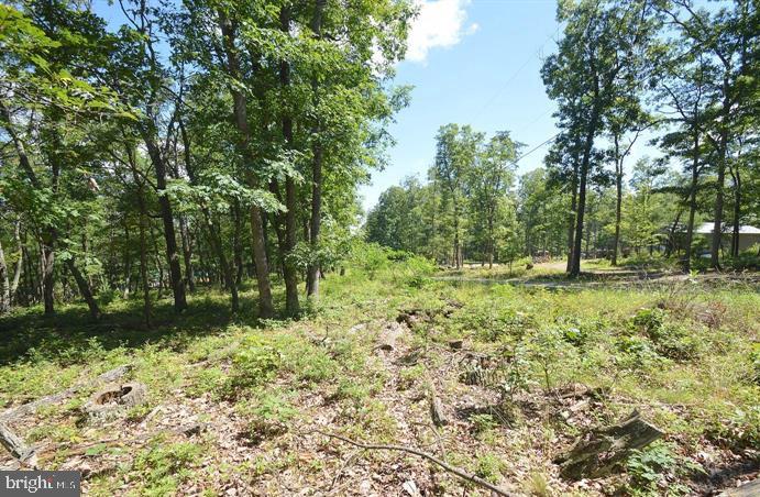 STAGECOACH STOP @ CAPON BRIDGE - Land