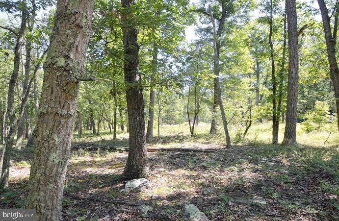 STAGECOACH STOP @ CAPON BRIDGE - Land