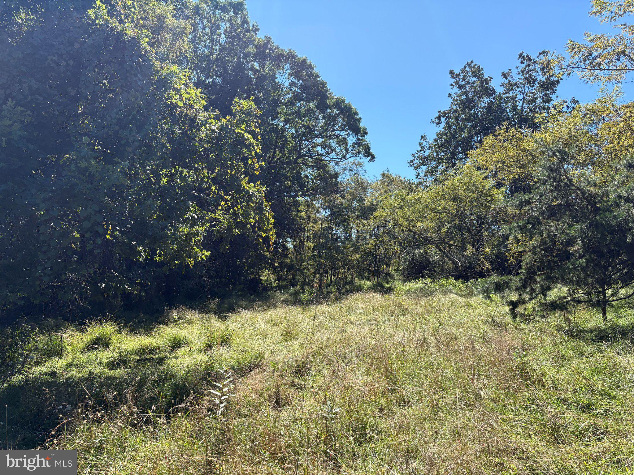 LOT 205 GRACES CABIN ROAD