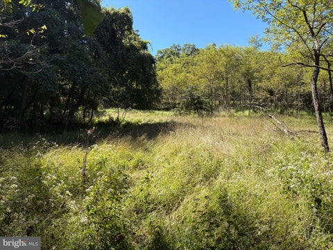 Vacant Land For Sale - LOT 205 Graces Cabin Road<br/> Hampshire County, SPRINGFIELD, WV 26763