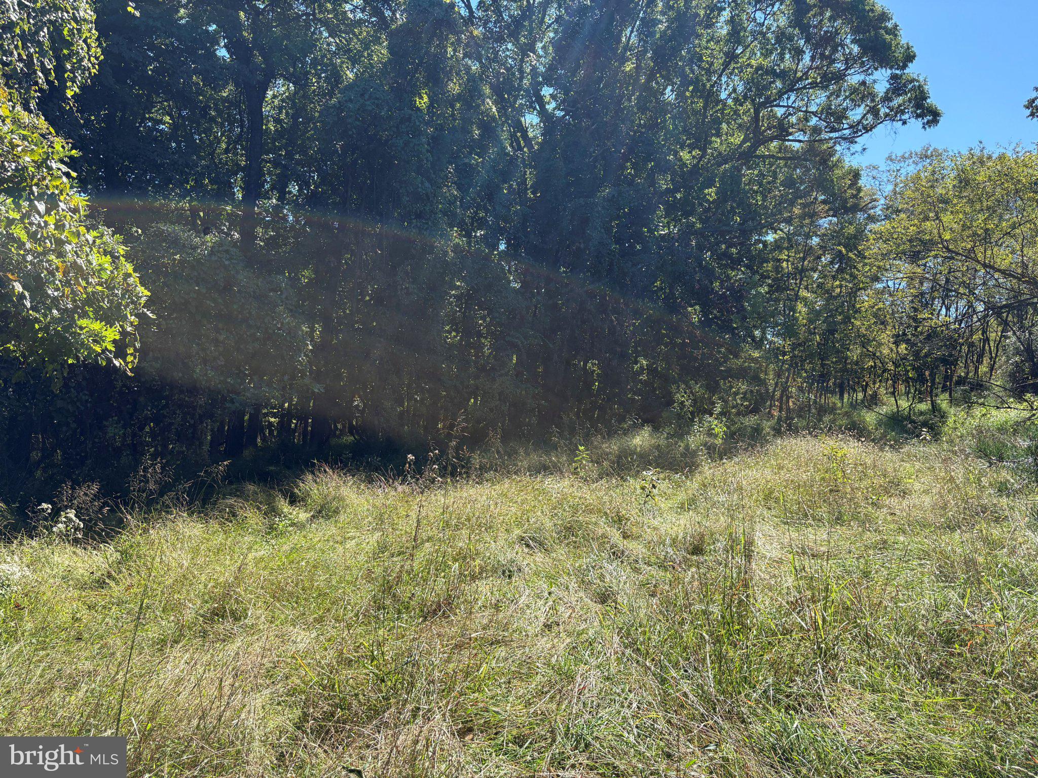 LOT 205 GRACES CABIN ROAD