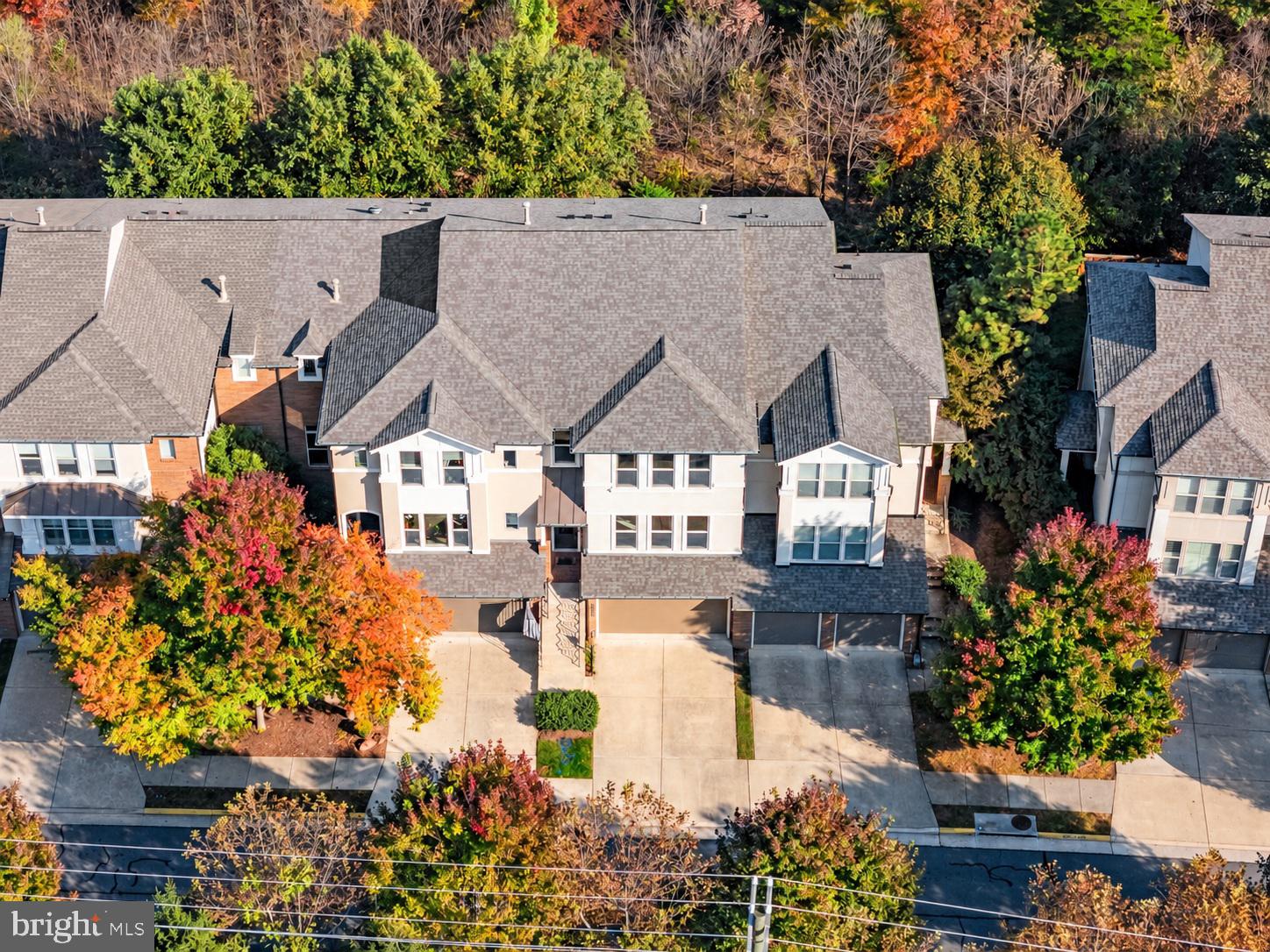 23344 EVENING PRIMROSE SQUARE