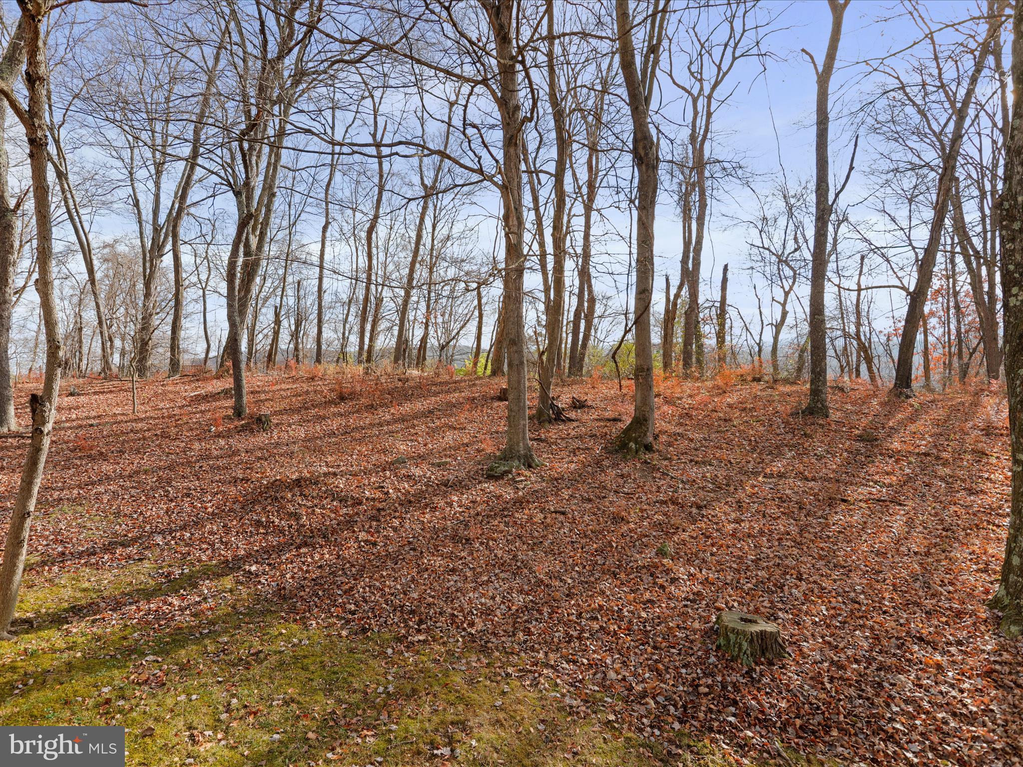 TROUT POND PROPERTY OWNERS ASSOCIATION - Residential