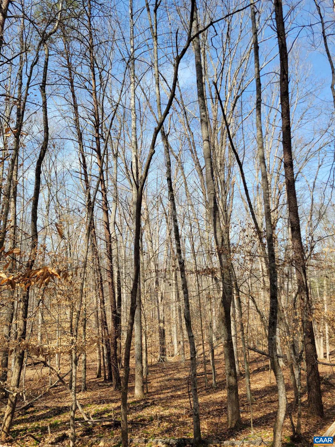 NONE AVAILABLE - Land