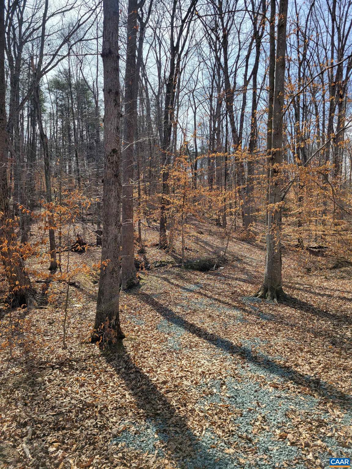 NONE AVAILABLE - Land