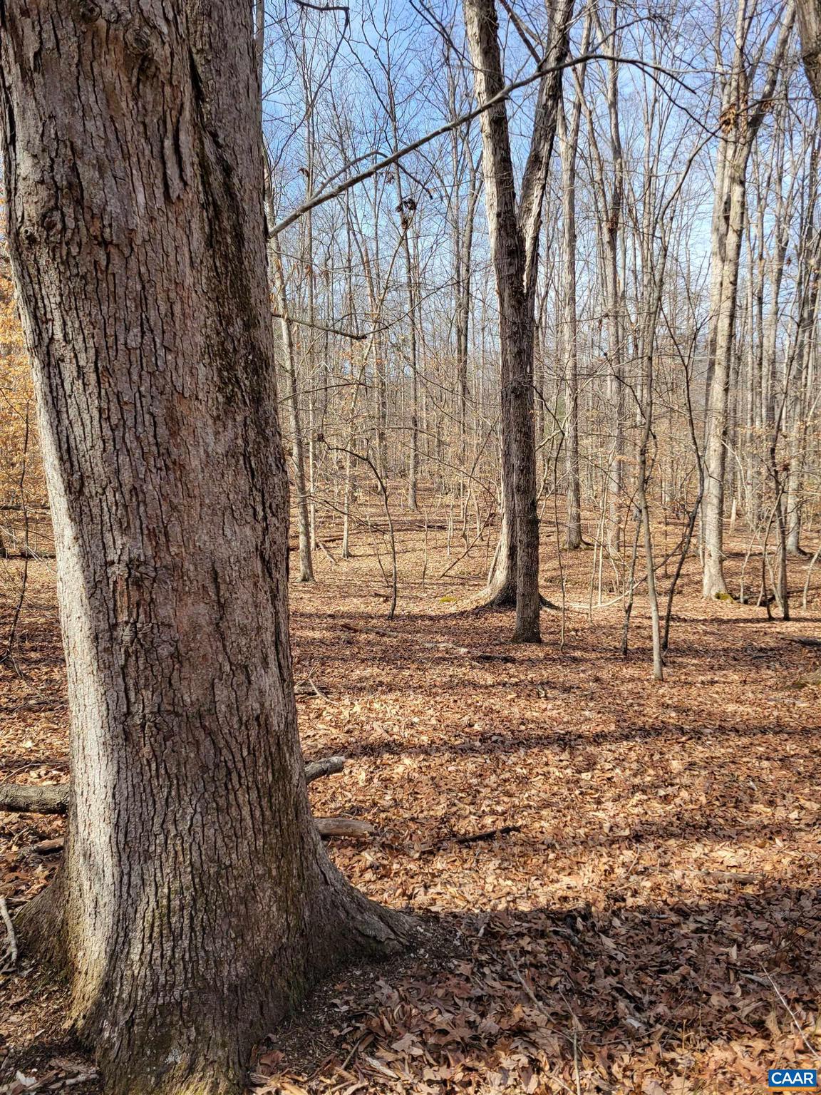 NONE AVAILABLE - Land